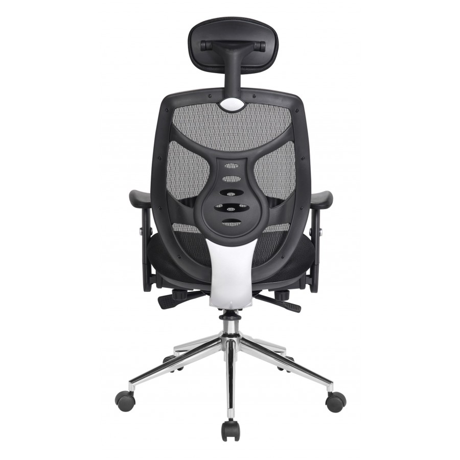 Polaris Mesh Executive Office Chair